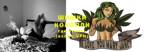 ГАЛЛЮЦИНОГЕННЫЕ ГРИБЫ Корсаков