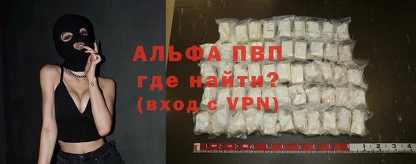 ГАЛЛЮЦИНОГЕННЫЕ ГРИБЫ Корсаков