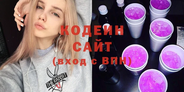 ГАЛЛЮЦИНОГЕННЫЕ ГРИБЫ Корсаков